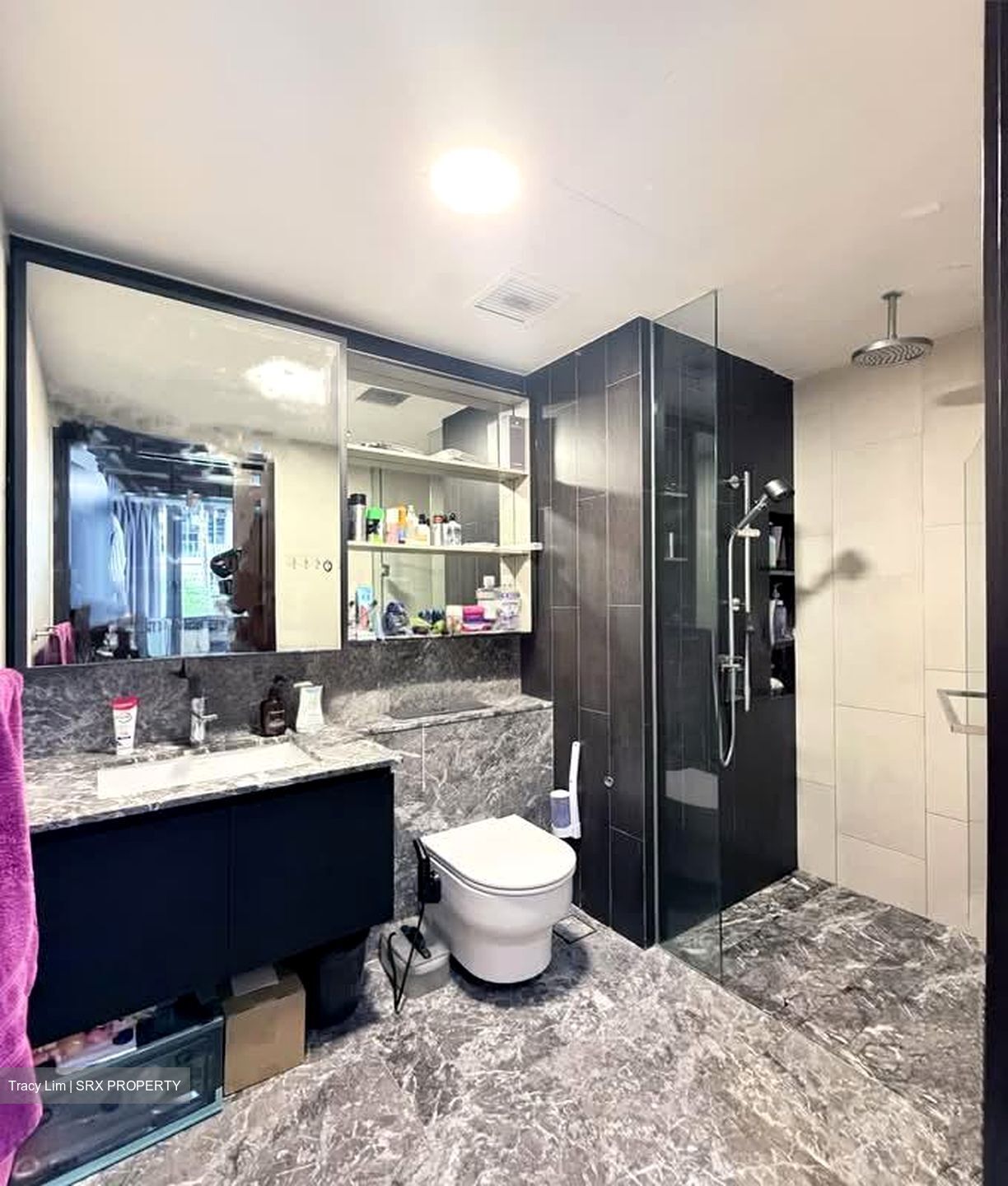 The Inflora (D17), Condominium #566619641